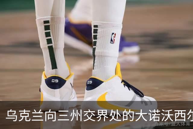 乌克兰向三州交界处的大诺沃西尔卡推进！夺取小迪布罗瓦