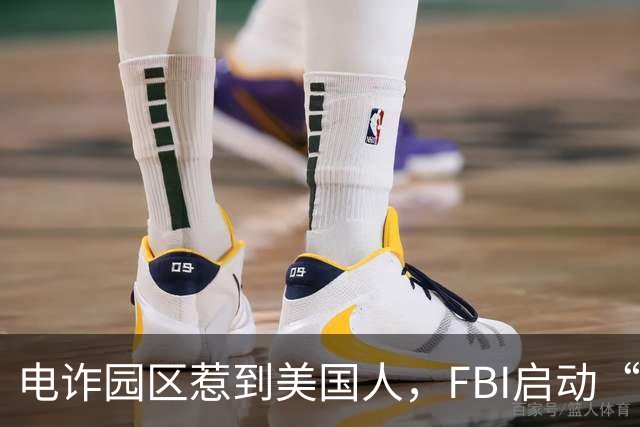 电诈园区惹到美国人，FBI启动“断电行动”，对电诈园区彻底开战