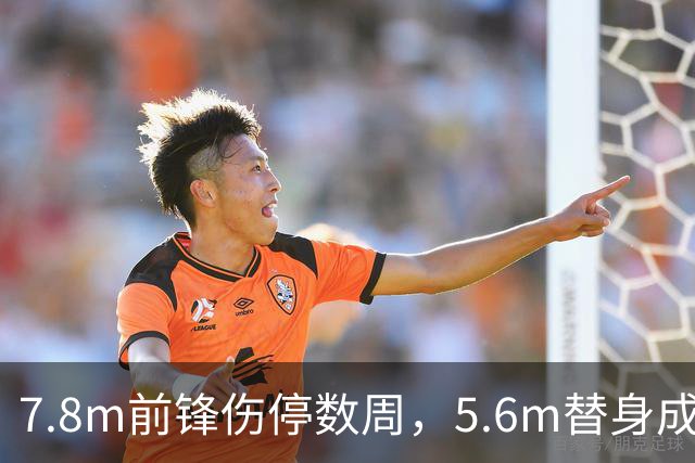 7.8m前锋伤停数周，5.6m替身成首选